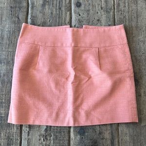 J Crew Skirt